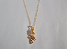 Load image into Gallery viewer, &quot;BB Dragon&quot; Gold Filled Necklace
